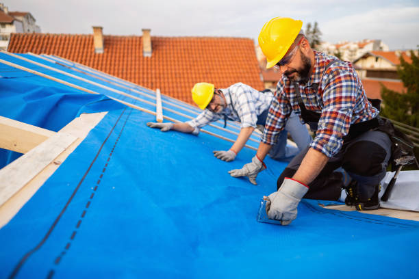 Best Storm Damage Roof Repair  in Stanhope, NJ
